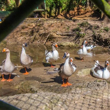 Hotel Fazenda Canto Da Serra Jacone Luaran gambar
