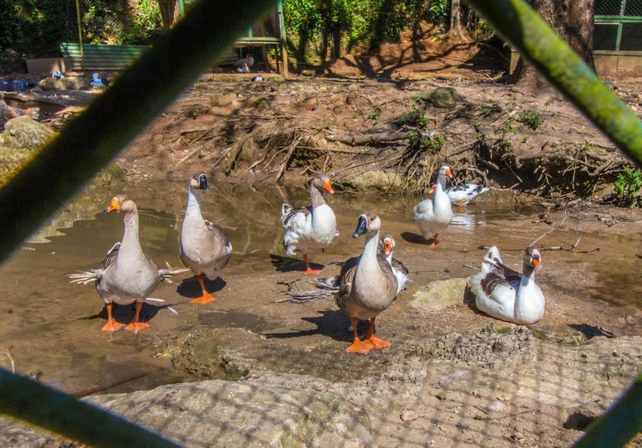 Hotel Fazenda Canto Da Serra Jacone Luaran gambar